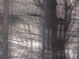 Сайт www онлайн секс com в България