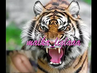 Моят безплатно порно тигър